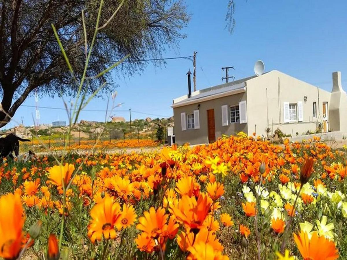 Kamieskroon Cosy Cottage Dış mekan fotoğraf